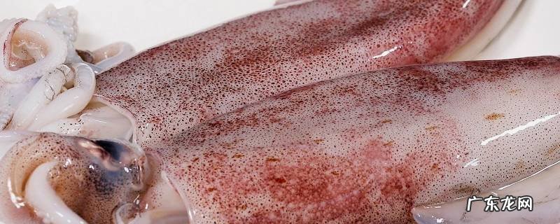 鱿鱼怎么切才会卷 里面还是外面切 鱿鱼怎么切