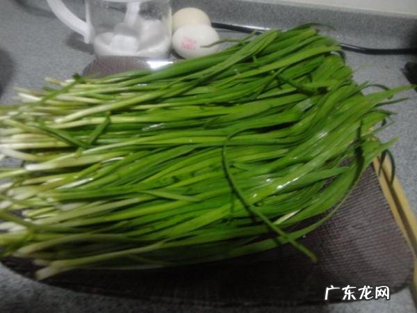 韭菜三鲜是指哪三鲜,三鲜馅饺子是哪三鲜