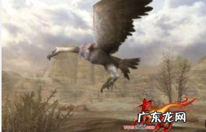 高光集锦什么意思,高光片段是什么意思