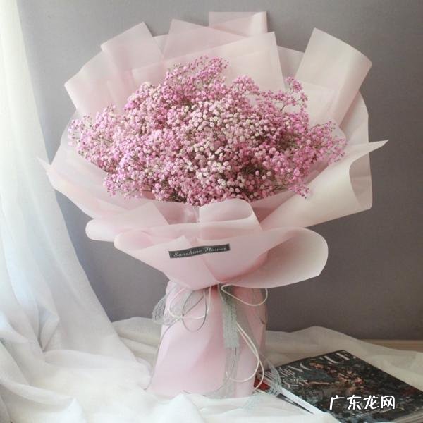 满天星的花语,满天星的花语是什么