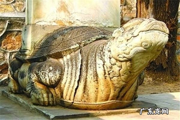 驮石碑的神兽叫什么,驮碑兽叫啥拼音