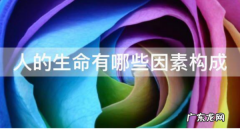 人的生命由哪些因素构成,生命是由什么构成的什么是生物结构和功能的基本单位