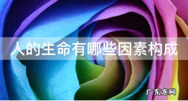 人的生命由哪些因素构成,生命是由什么构成的什么是生物结构和功能的基本单位