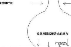 气息不足怎么练,唱歌气息不足怎么训练