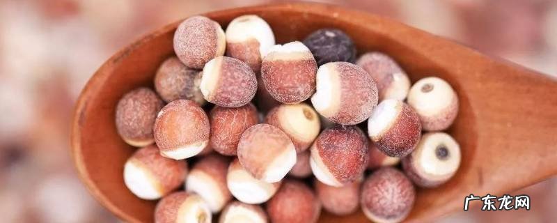芡实怎么吃补肾效果最好 芡实怎么吃