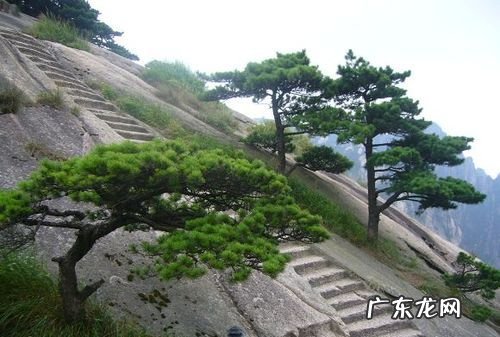 黄山属于丹霞地貌,黄山是丹霞地貌嘛