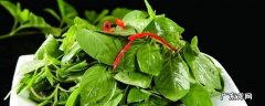 大叶荆芥怎么吃 大叶荆芥菜怎么吃