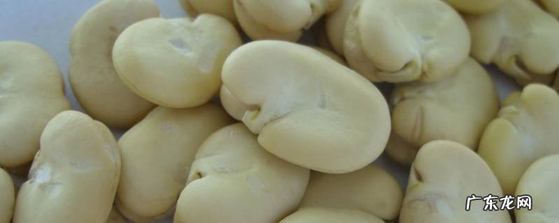 蚕豆的皮怎么去掉 蚕豆去皮的方法