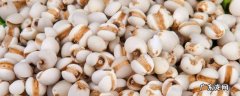 薏米泡多久可以煮饭 薏米泡多久可以煮