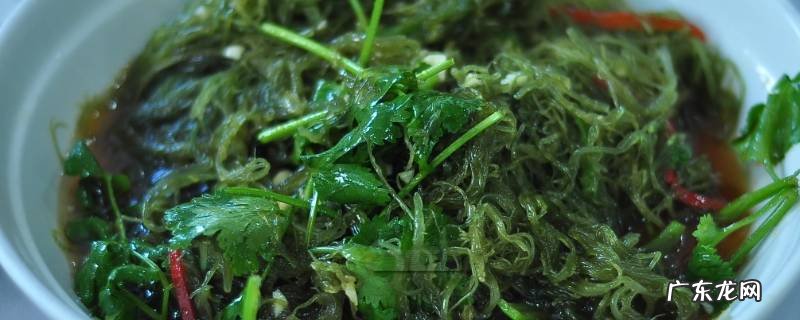 海草怎么凉拌怎么吃 海草怎么凉拌好吃