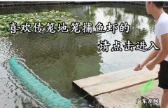 地笼使用的方法和技巧,超大地笼的制作方法