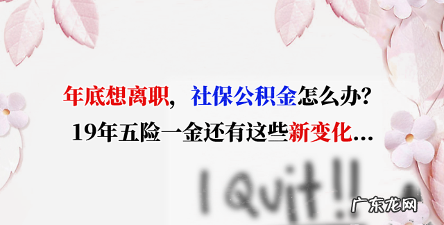 辞职社保和公积金怎么办,辞职后养老保险怎么续交