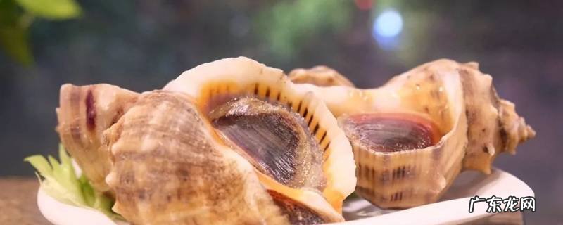 海螺怎么吃法家庭吃法,白灼大虾怎么做 海螺怎么吃法家庭吃法