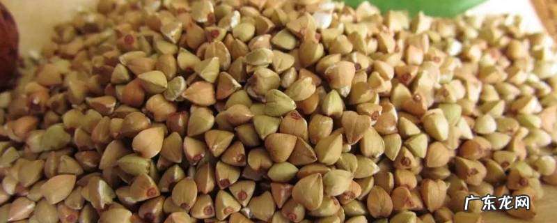 荞麦米怎么吃 燕麦米怎么吃