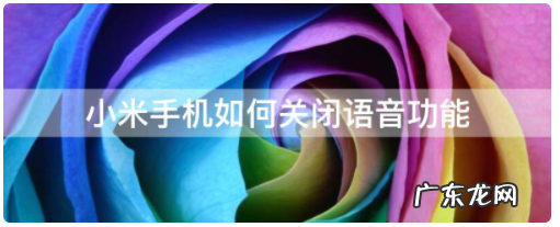 如何关闭小爱语音引擎,小米手机如何关闭小爱语音助手