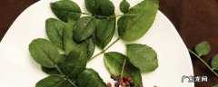 花椒叶怎么吃 花椒叶怎么吃饺子