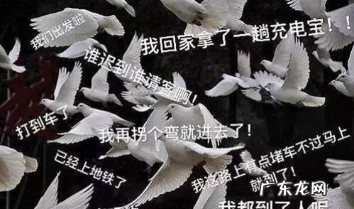 鸽和咕咕咕什么梗 啥意思,咕咕咕是什么梗 网络语咕咕咕什么意思