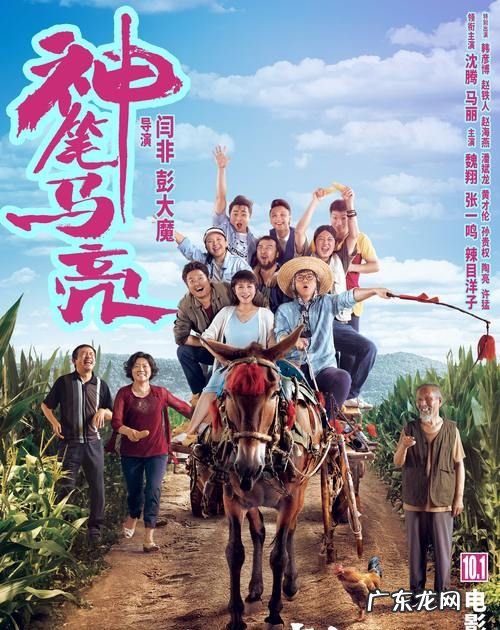 我和我的家乡电影什么时候上映,我和我的家乡什么时候上映的电影