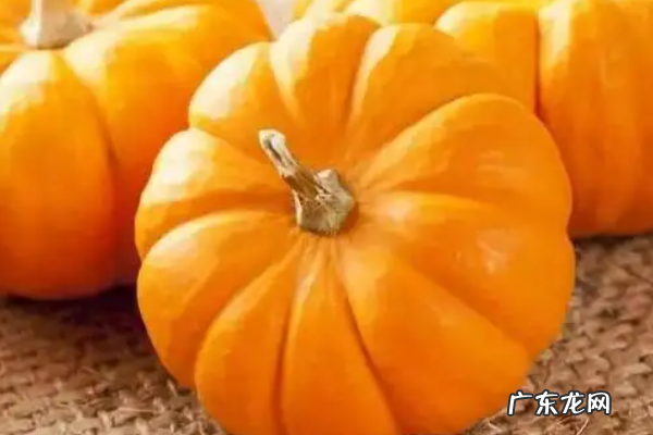 冬季有什么蔬菜,冬季时令蔬菜有哪些冬季时令冷菜装盆时令冷菜