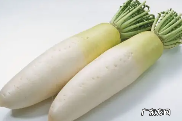 冬季有什么蔬菜,冬季时令蔬菜有哪些冬季时令冷菜装盆时令冷菜