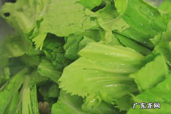 冬季有什么蔬菜,冬季时令蔬菜有哪些冬季时令冷菜装盆时令冷菜