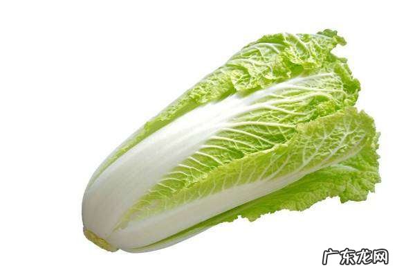 冬季有什么蔬菜,冬季时令蔬菜有哪些冬季时令冷菜装盆时令冷菜