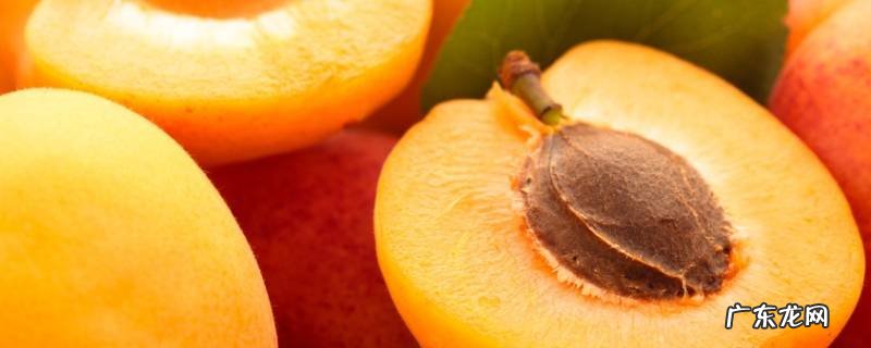 杏子太酸怎么办 杏子太酸怎么处理