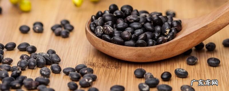 黑豆怎么吃好吃又简单 黑豆怎么做吃最好吃