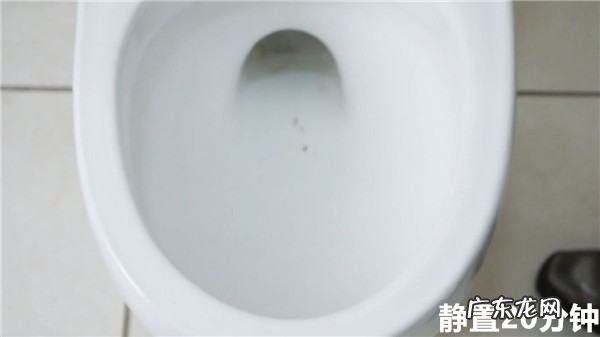厕所被头发堵住了怎么办,头发堵塞下水道堵了怎么办妙招