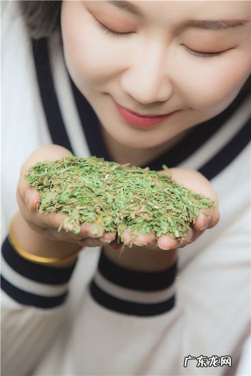 乌拉草有什么用处,东北三宝中的乌拉草的优点是什么