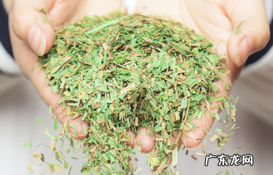 乌拉草有什么用处,东北三宝中的乌拉草的优点是什么