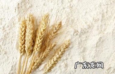 低筋面粉怎么看,如何判断小麦粉的筋度