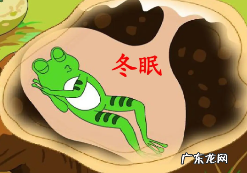 青蛙要冬眠吗,青蛙需要冬眠
