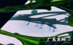 行驶证补办要多久,补办一个行驶证要多少钱