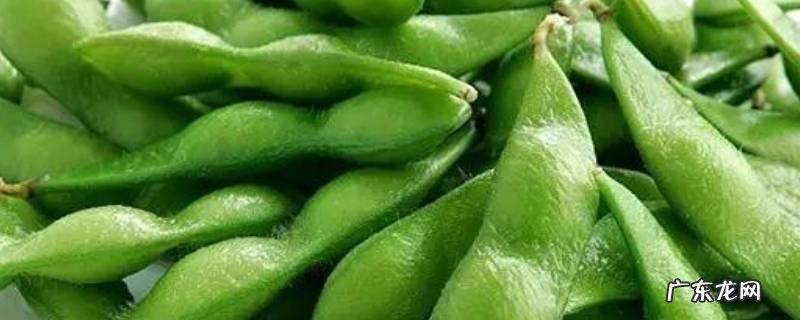 毛豆放冰箱冷藏能放多久 煮好的毛豆放冰箱冷藏能放多久