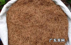 松树地里适合种什么,松树下面的土可以种菜
