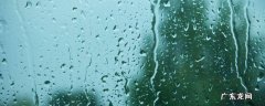 为什么会下雨呢 为什么会下雨呢作文