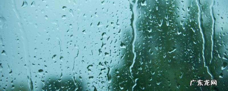 为什么会下雨呢 为什么会下雨呢作文