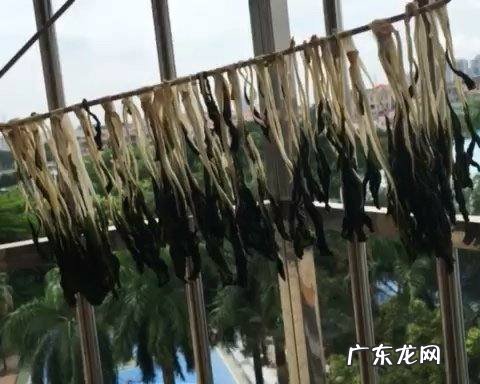 白菜可以晒干怎么晒干菜,白菜怎么晒成干菜不变色