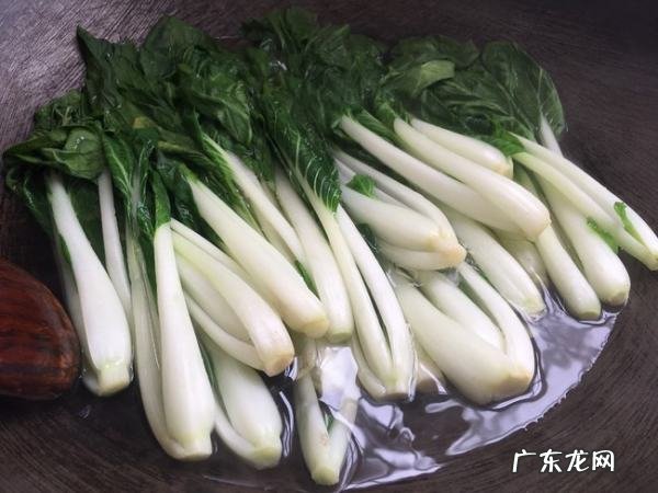 白菜可以晒干怎么晒干菜,白菜怎么晒成干菜不变色