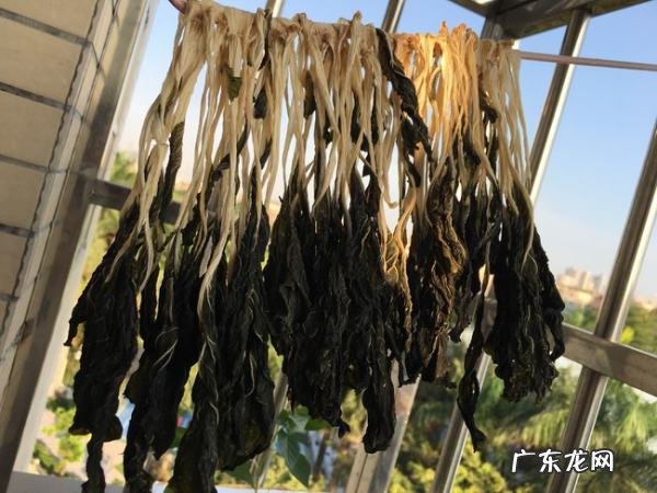 白菜可以晒干怎么晒干菜,白菜怎么晒成干菜不变色