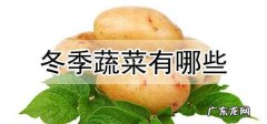 冬天蔬菜有哪些品种,适合冬天种植的蔬菜有哪些