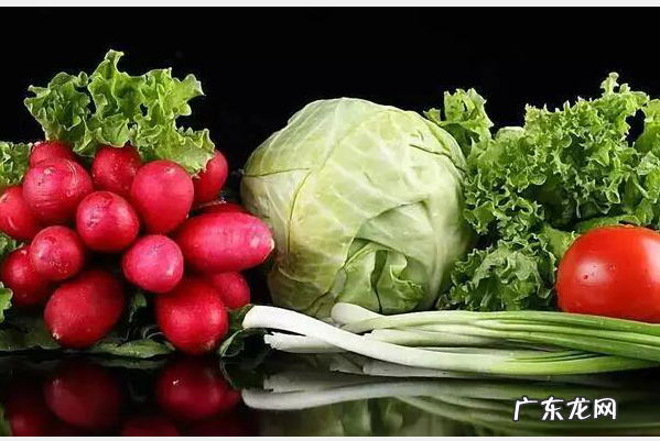 冬天蔬菜有哪些品种,适合冬天种植的蔬菜有哪些