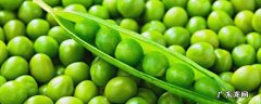 新鲜豌豆怎么保存放冰箱 新鲜豌豆怎样放冰箱保存