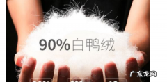 90绒羽绒服是什么意思,90鸭绒的羽绒服是什么意思