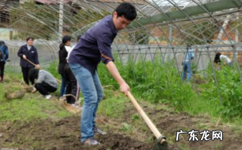 实践对认识的决定作用表现在哪些方面,实践对认识的决定作用可以表现在什么