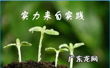 实践对认识的决定作用表现在哪些方面,实践对认识的决定作用可以表现在什么