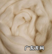 怎么判断是不是山羊绒,怎么区分山羊绒和绵羊绒