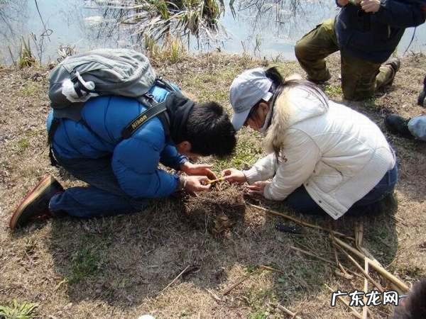 野外取火的方式有哪些,野外生取火00种方法