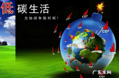 如何减少碳排放,生活中应该怎样做才能减少碳排放